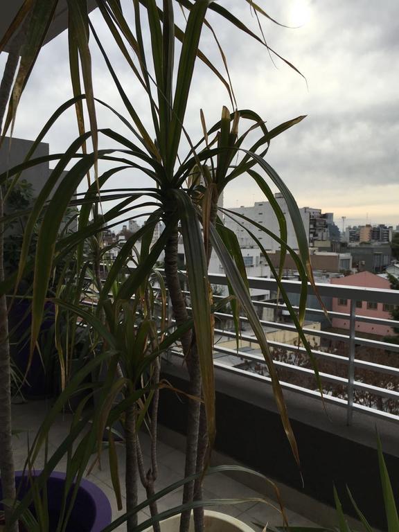Gorriti Palace Buenos Aires Eksteriør bilde